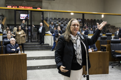 Vereadora Lourdes Sprenger