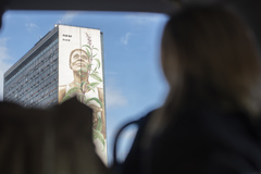 Linha de Turismo. Turismo. Porto Alegre. Ônibus. Daer. Mona Caron. Mauro Neri. Painel. Arte.  Justicia gendarussa.