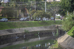 Linha de Turismo. Turismo. Porto Alegre. Ônibus. Arroio Dilúvio.