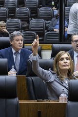 Movimentação de plenário. Vereadora Mônica Leal em primeiro plano