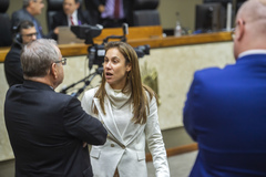 Movimentação de Plenário. Na imagem a vereadora Mari Pimentel e o vereador Idenir Cecchim.