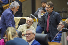 Movimentação de Plenário. Na imagem vereadores Engenheiro Comassetto, Pedro Ruas, Professor Alex Fraga e Roberto Robaina.