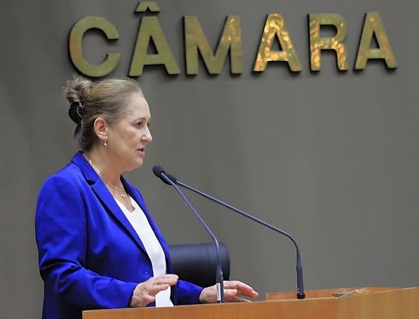 Vereadora Lourdes Sprenger presidente da Escola do Legislativo