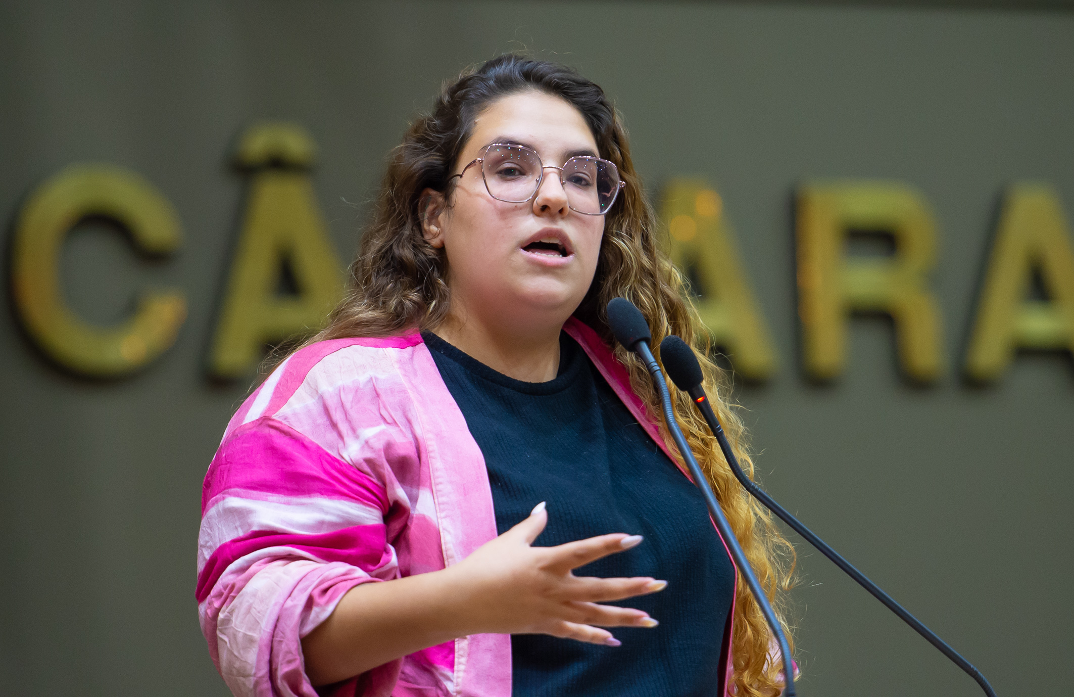 Vereadora Vitória Cabreira