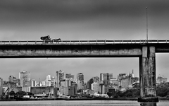 Fotografia vencedora da edição do concurso realizada em 2011