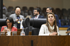 Movimentação de plenário.