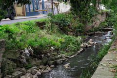 Proposta prevê a realização de inspeções bimestrais por equipes técnicas especializadas nos arroios do município. Na imagem, o Arroio Mangueira, no Bairro Jardim Itu