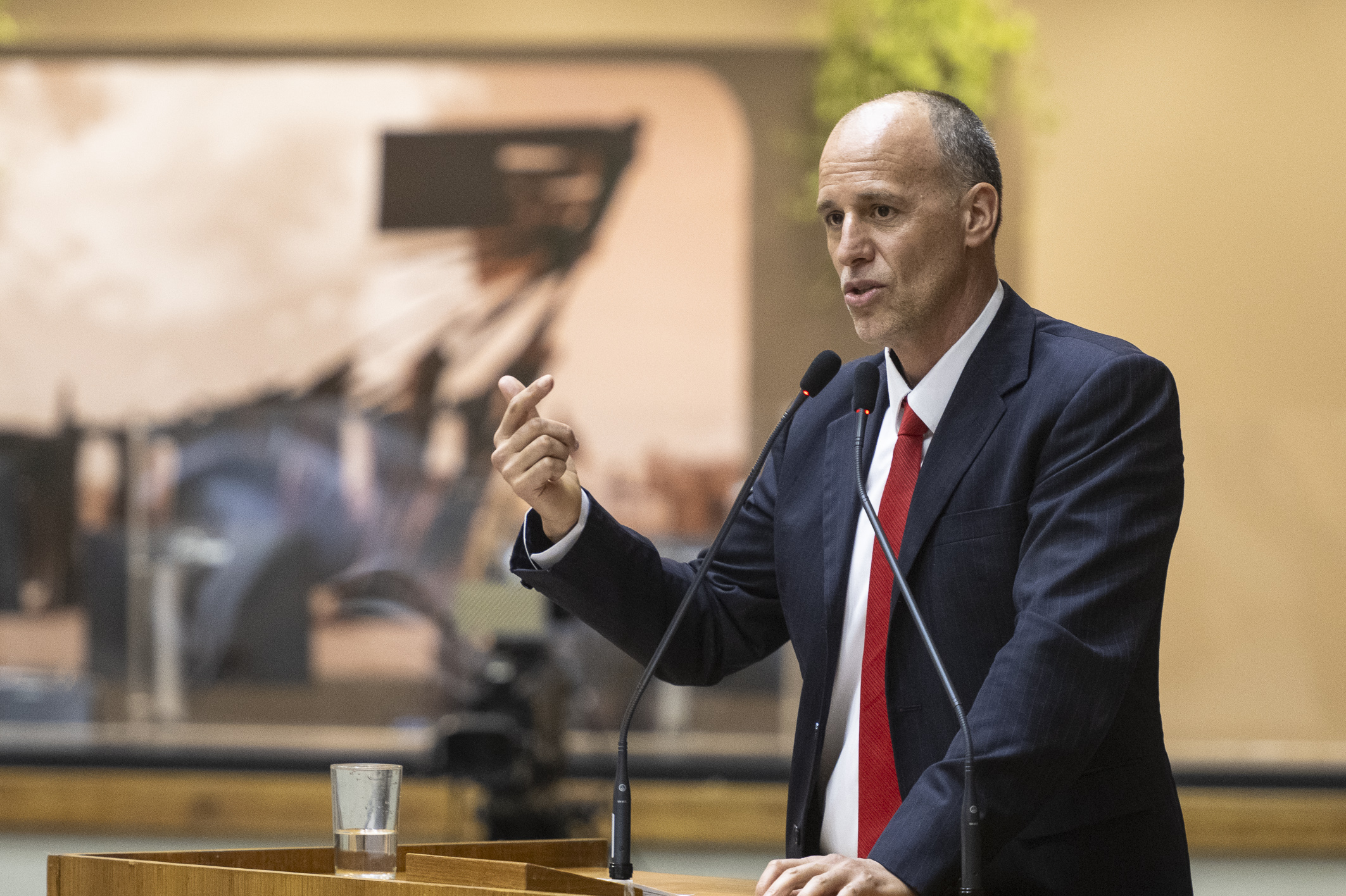 Marcelo Sgarbossa (Rede)