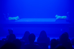 Espetáculo de Dança - Água Redonda e Comprida - VII Mostra de Arte Cênicas