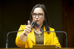 Vereadora Cláudia Araújo (PSD)