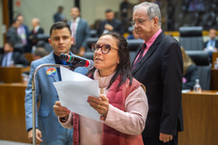 Movimentação de plenário, votação da Lei de diretrizes orçamentárias - LDO.