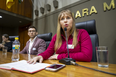 Comissões ouviram depoimento de ex-servidora da Smed