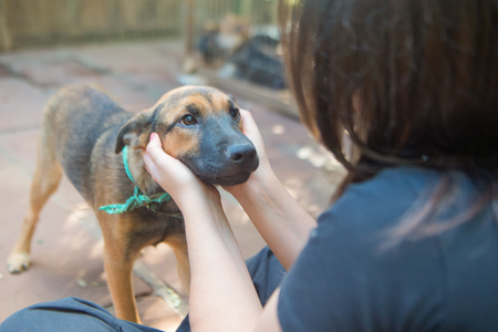 Projeto salienta que há vários estudos científicos que comprovam que a terapia com animais ajuda no desenvolvimento da criança com qualquer tipo de deficiência