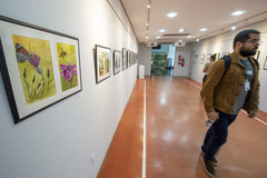 Exposição Natureza e sua Preservação - Atelier Elizabeth Laky Gatti