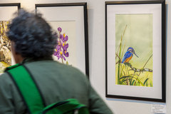 Exposição Natureza e sua Preservação - Atelier Elizabeth Laky Gatti