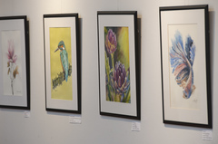 Exposição Natureza e sua Preservação - Atelier Elizabeth Laky Gatti