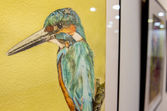 Exposição Natureza e sua Preservação - Atelier Elizabeth Laky Gatti