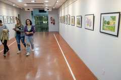 Exposição Natureza e sua Preservação - Atelier Elizabeth Laky Gatti