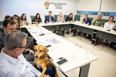 Encontro tratou do atendimento aos animais abandonados