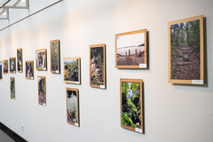 Exposição "Trilhando saberes".