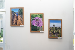 Exposição "Trilhando saberes".