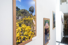 Exposição "Trilhando saberes".