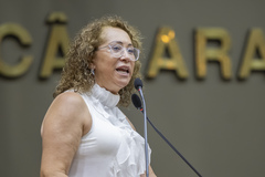 Vereadora Biga Pereira