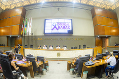 Reunião da Cedecondh teve como pauta a realidade e os desafios de conviver com doenças raras, evento em alusão a Semana Estadual das Doenças Raras