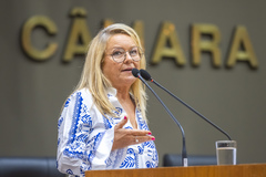 Polaca Rocha (PT) tomou posse como vereadora substituindo o vereador Aldacir Oliboni (PT), que está de licença