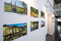 Exposição fotográfica: Viva IAPI