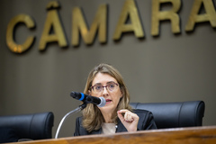Primeira oitiva foi com a conselheira-presidente da Agergs, Luciana Luso de Carvalho
