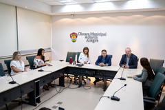 Reunião extraordinária da CECE debate projeto que obriga escolas a adotarem medidas de segurança quanto à utilização de vidros.
