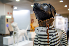 Associação dos Escultores do Estado do Rio Grande do Sul (AEERGS) exibe obras na exposição POA Pinta Pet.