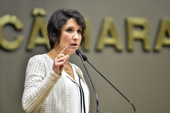 Vereadora Comandante Nádia (PMDB), proponente.