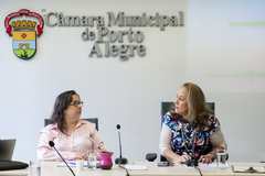 As experiências das atuações das emultis no município de Porto Alegre. Proponete Ver.ª Psicóloga Tanise Sabino.