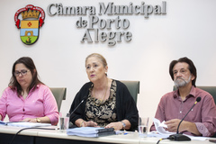 43ª Reunião - Apresentação do Relatório Final